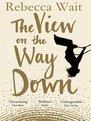 cover image of The View on the Way Down